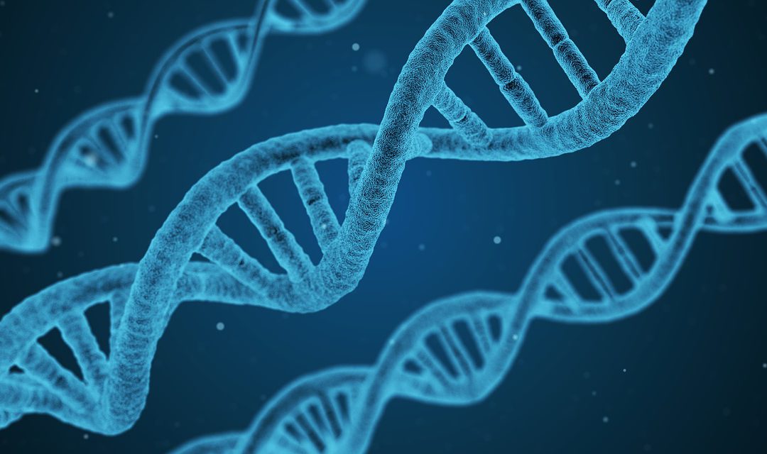 Analysis to Next Generation Sequencing Technology