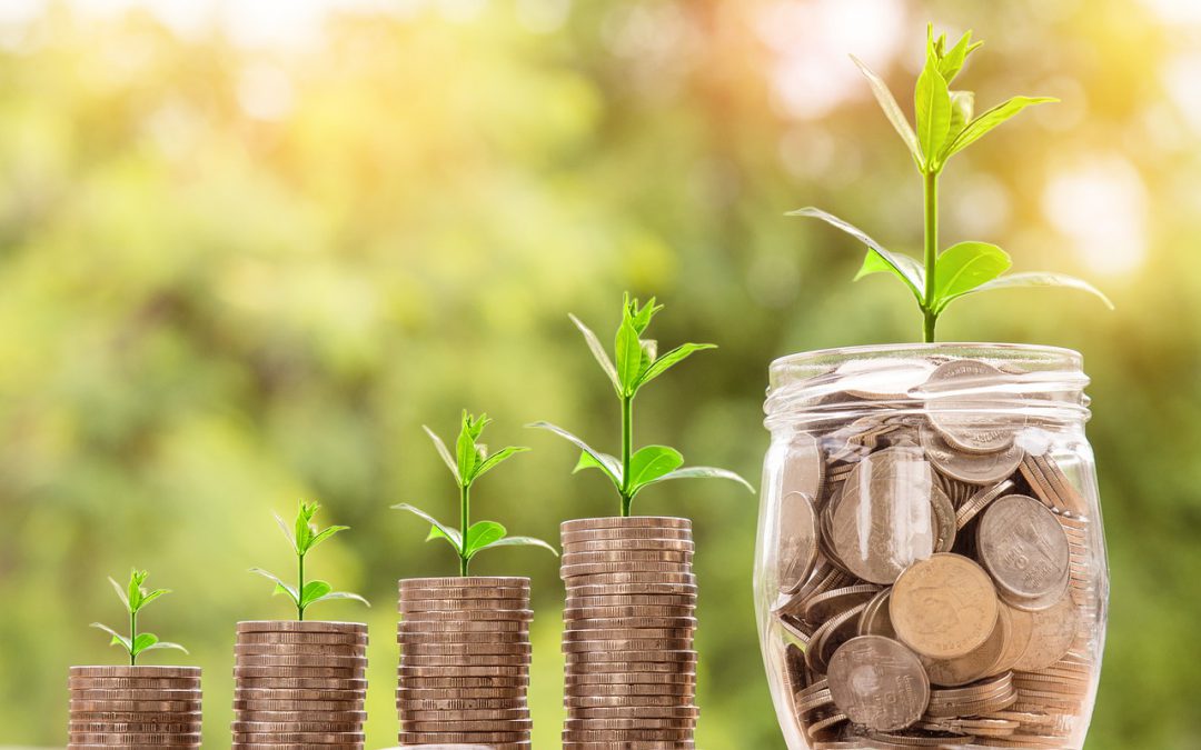 Investing in Dreams